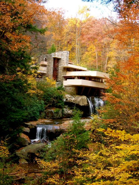 Fallingwater Autumn