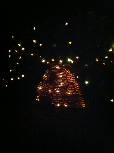 Each light is an individual pumpkin carved as a bee